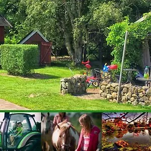  Lantgård Stutteri Skandihest Danmark